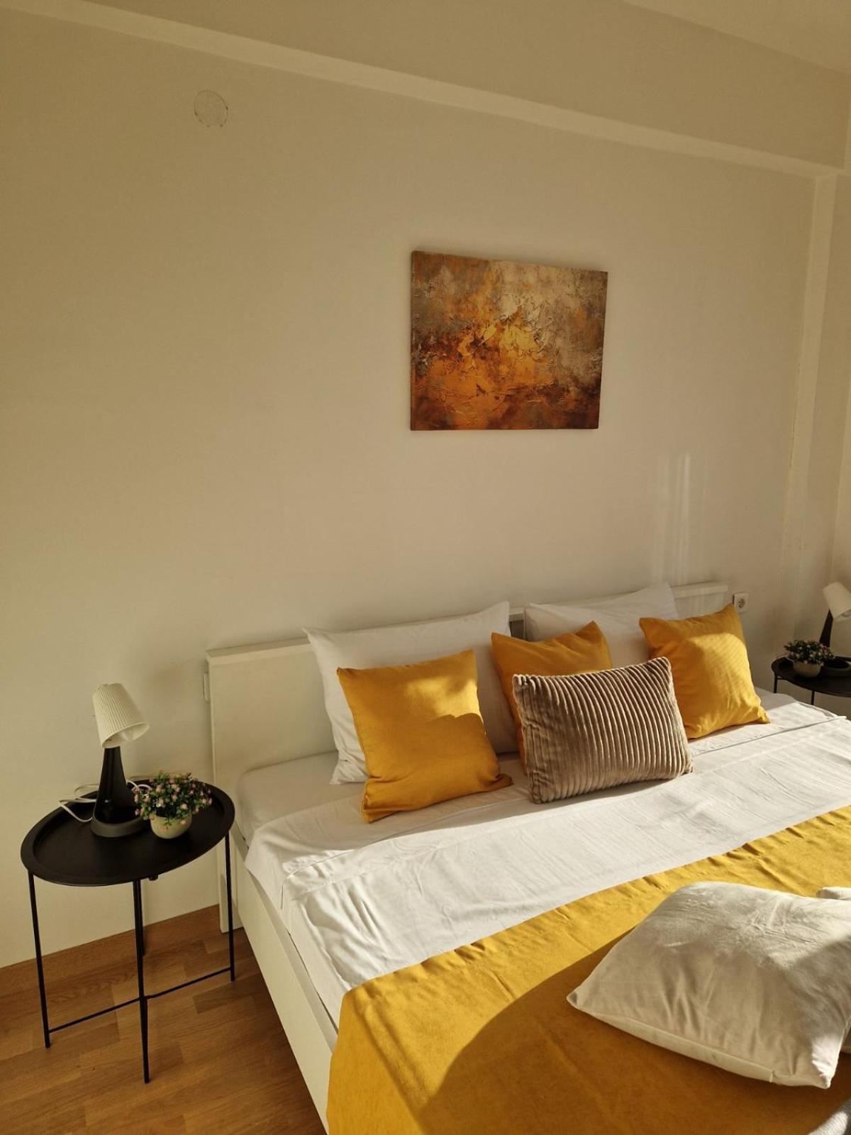 Kamche Lux Apartment スコピエ エクステリア 写真
