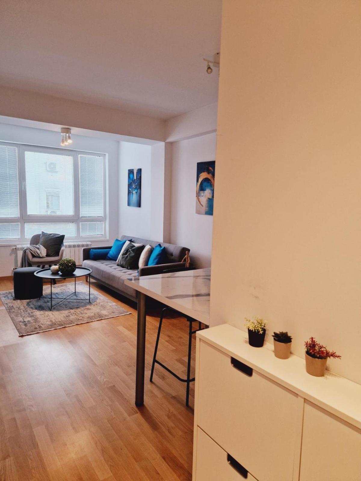 Kamche Lux Apartment スコピエ エクステリア 写真