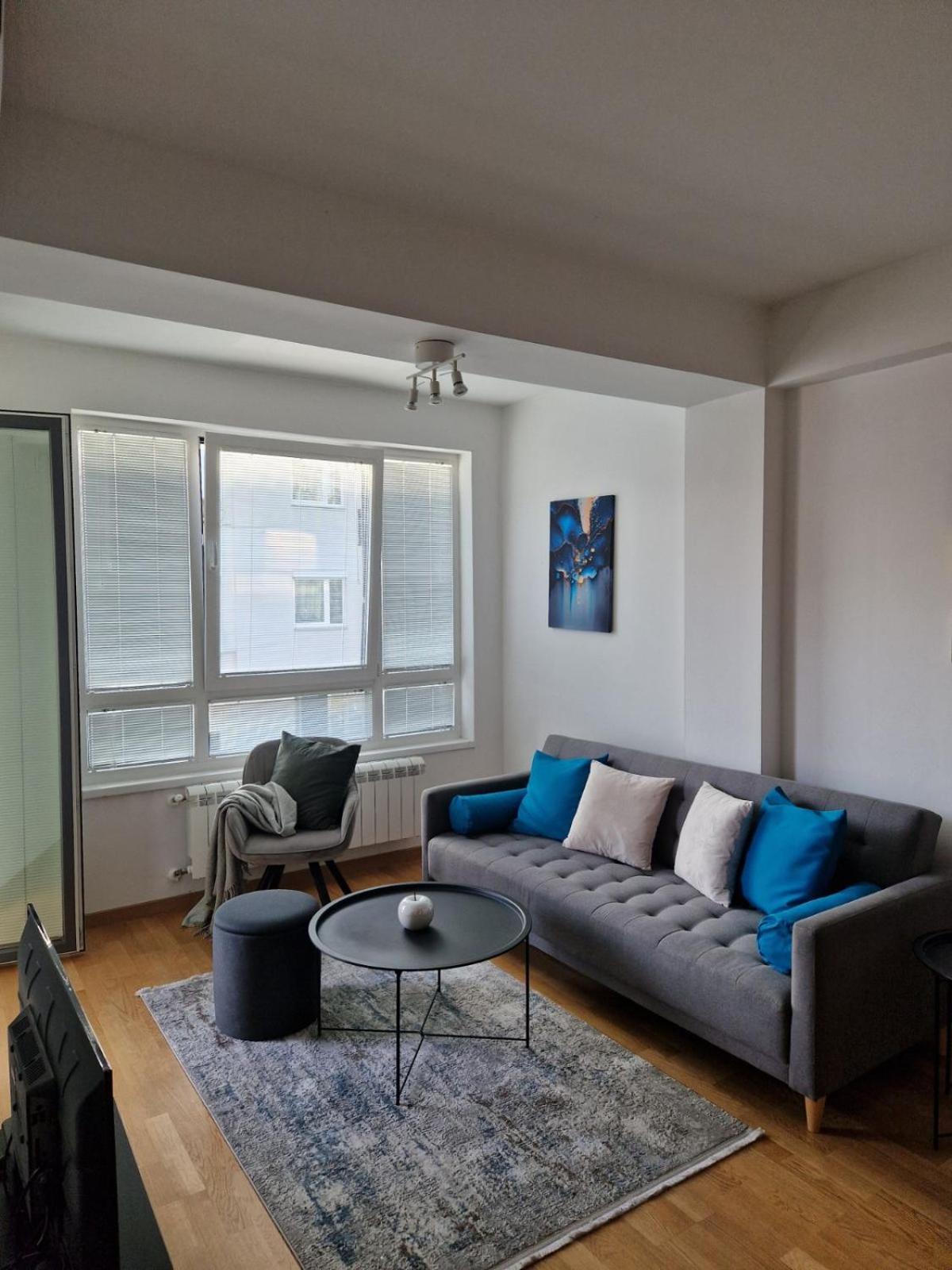Kamche Lux Apartment スコピエ エクステリア 写真