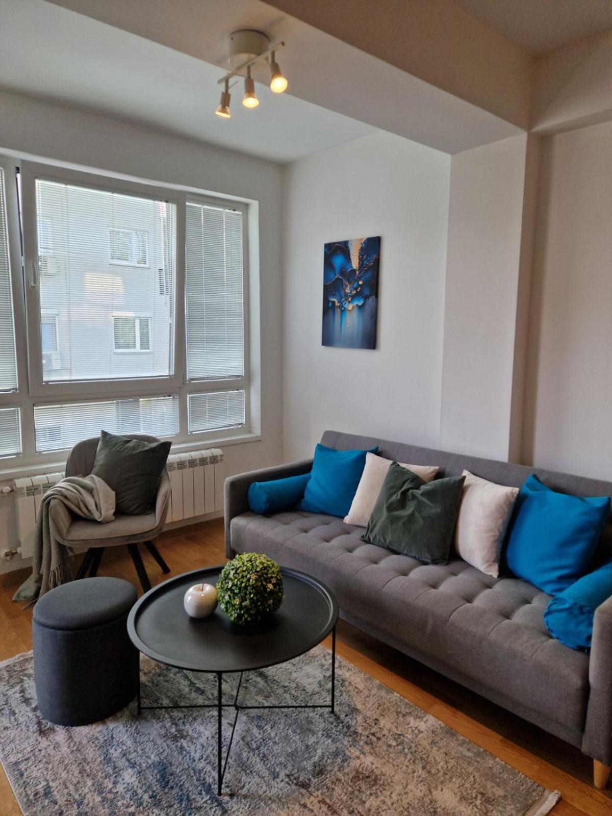 Kamche Lux Apartment スコピエ エクステリア 写真