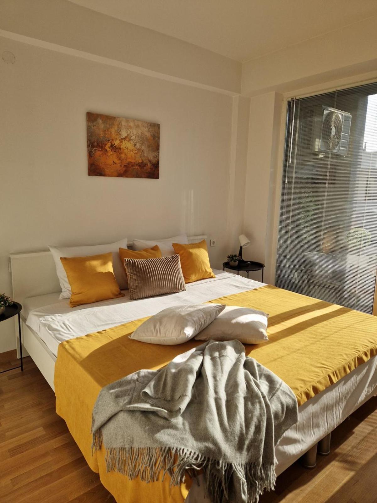 Kamche Lux Apartment スコピエ エクステリア 写真